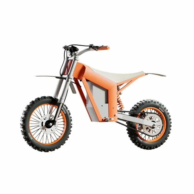 Electric Dirt Bike Motocross